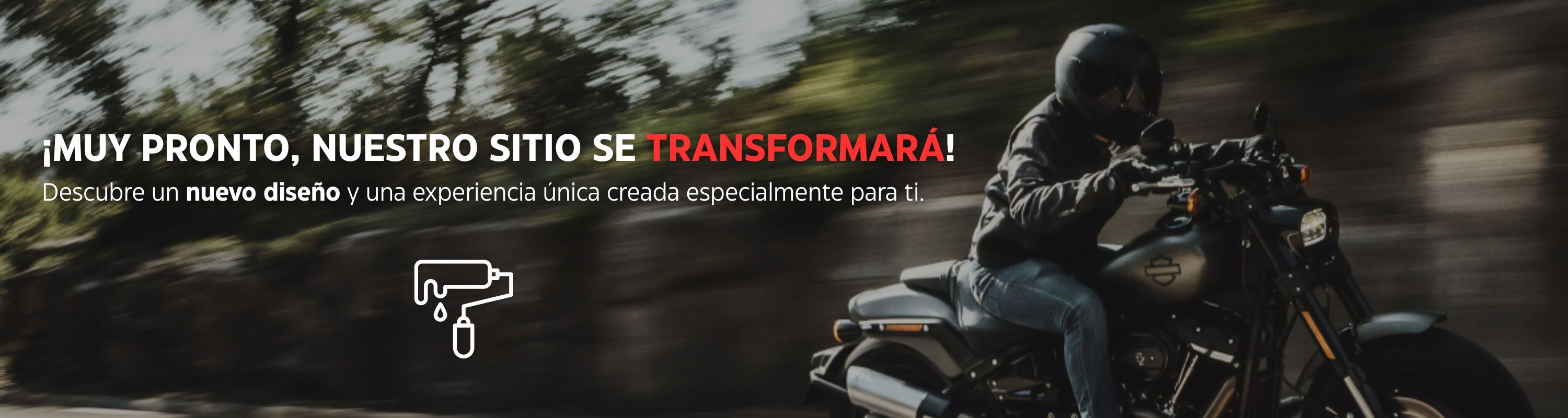 https://www.topsellerie.com/@images/bannieres/259/259_es.jpg?t=1749032837
