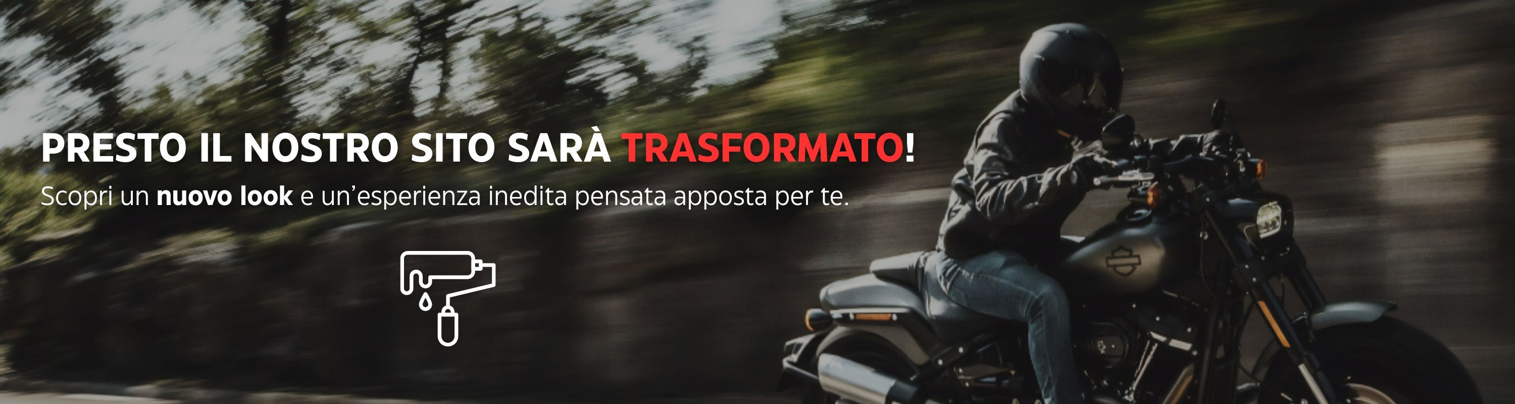 https://www.topsellerie.com/@images/bannieres/259/259_it.jpg?t=1749032846