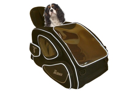 SAC0903
