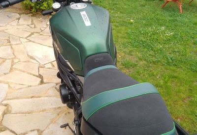 BENELLI LEONCINO 800