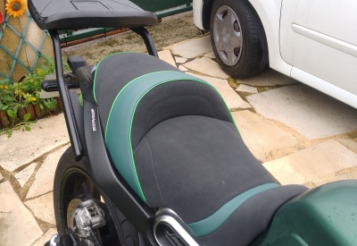 BENELLI LEONCINO 800