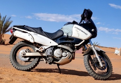 SUZUKI FREEWIND XF 650