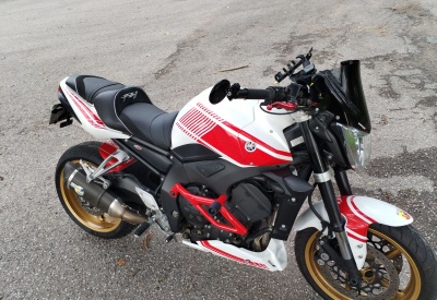 YAMAHA FZ1-N