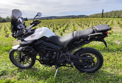TRIUMPH TIGER 800