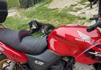 HONDA CB 500 [1994-2003]