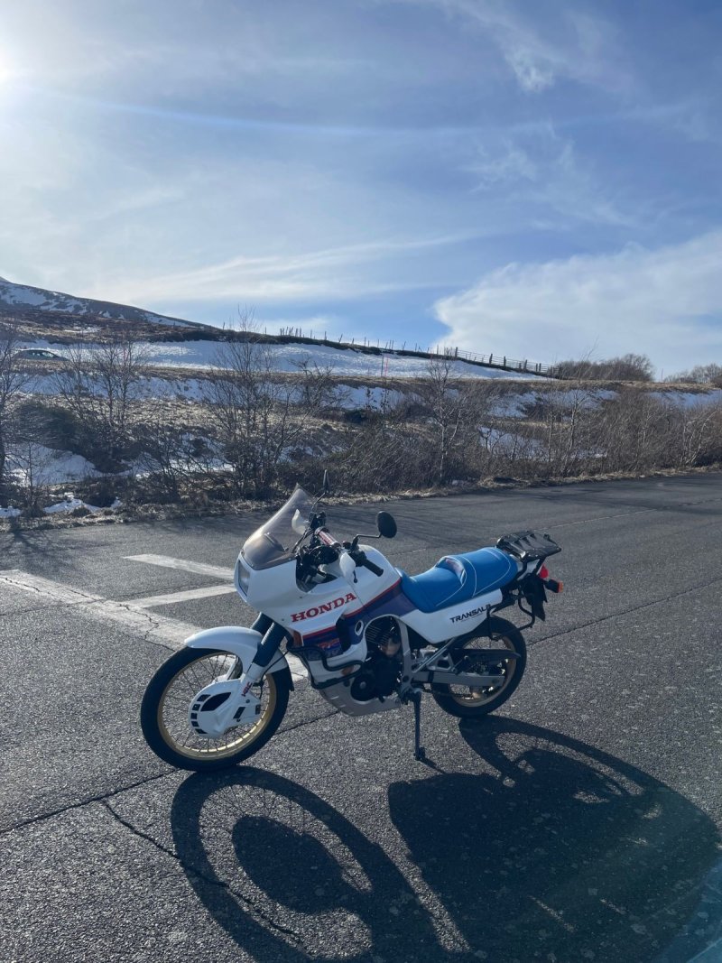 HONDA TRANSALP XL 600