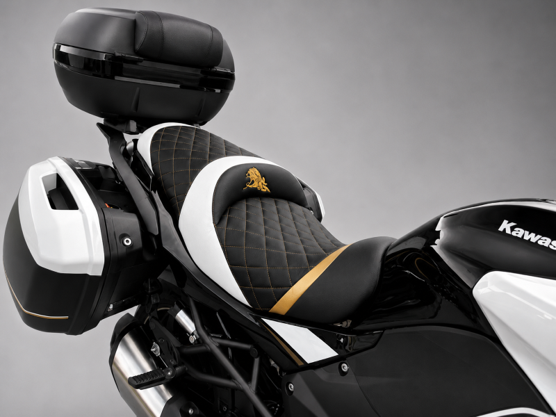 KAWASAKI VERSYS 1100