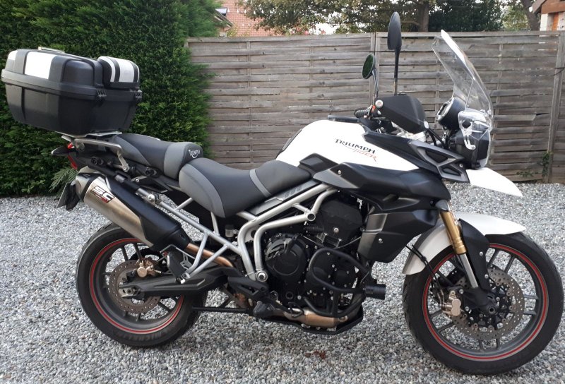 TRIUMPH TIGER 800
