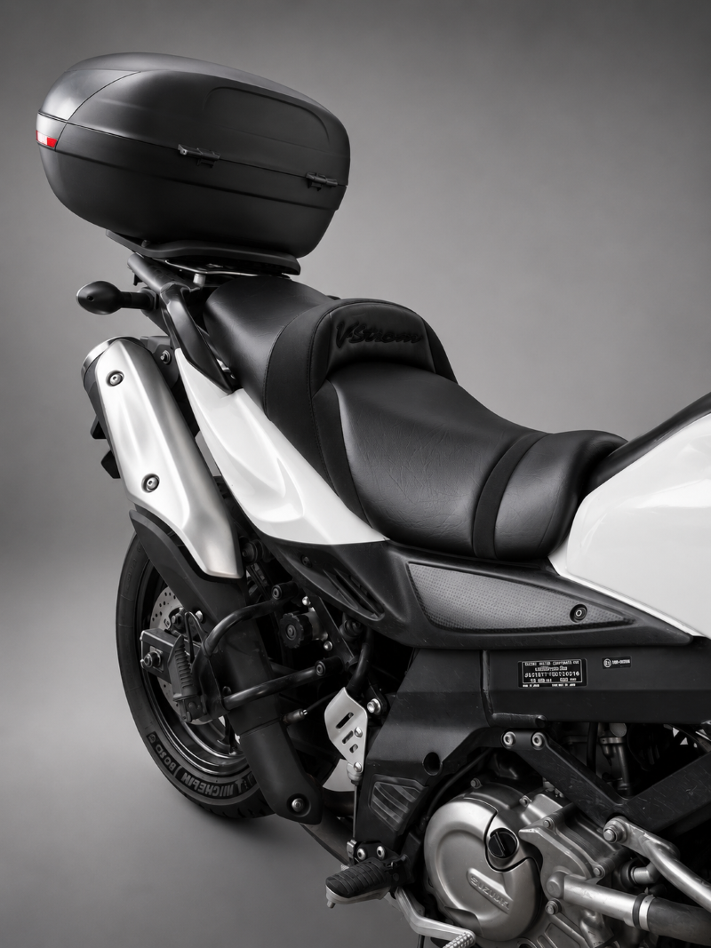 SUZUKI V-STROM DL 650