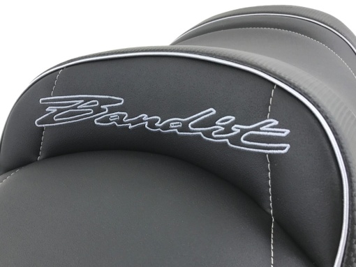 Deluxe seat2