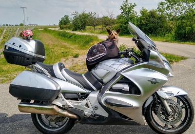 HONDA PAN EUROPEAN ST 1300 [>=2002]