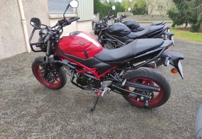 SUZUKI SV 650 [>=2016]