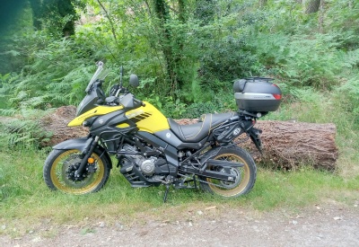 SUZUKI V-STROM DL 650