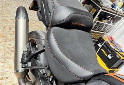 HARLEY DAVIDSON PAN AMERICA 1250
