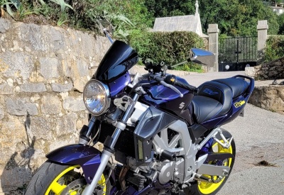 SUZUKI SV 650 S/N [2003-2005]