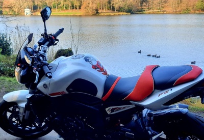 YAMAHA FZ1-N