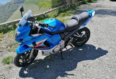 SUZUKI GSX-F 650
