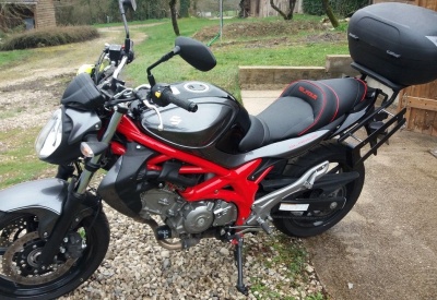 SUZUKI GLADIUS