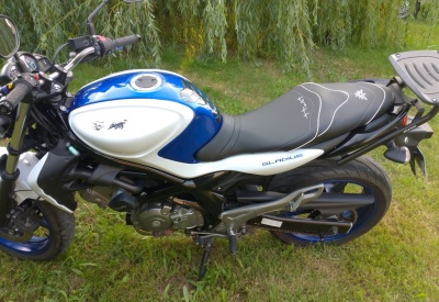SUZUKI GLADIUS [>=2009]
