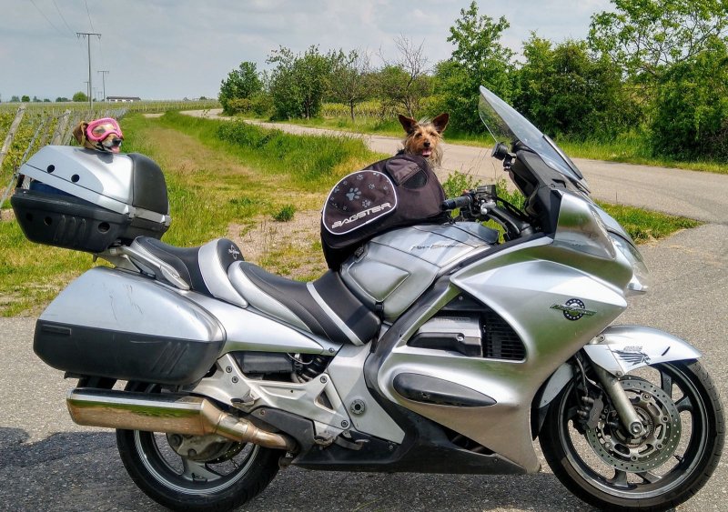 HONDA PAN EUROPEAN ST 1300