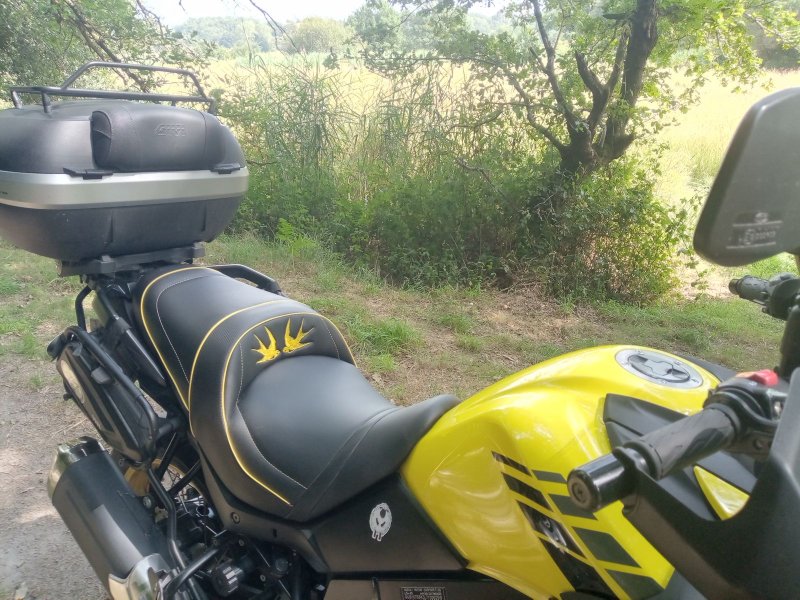 SUZUKI V-STROM DL 650