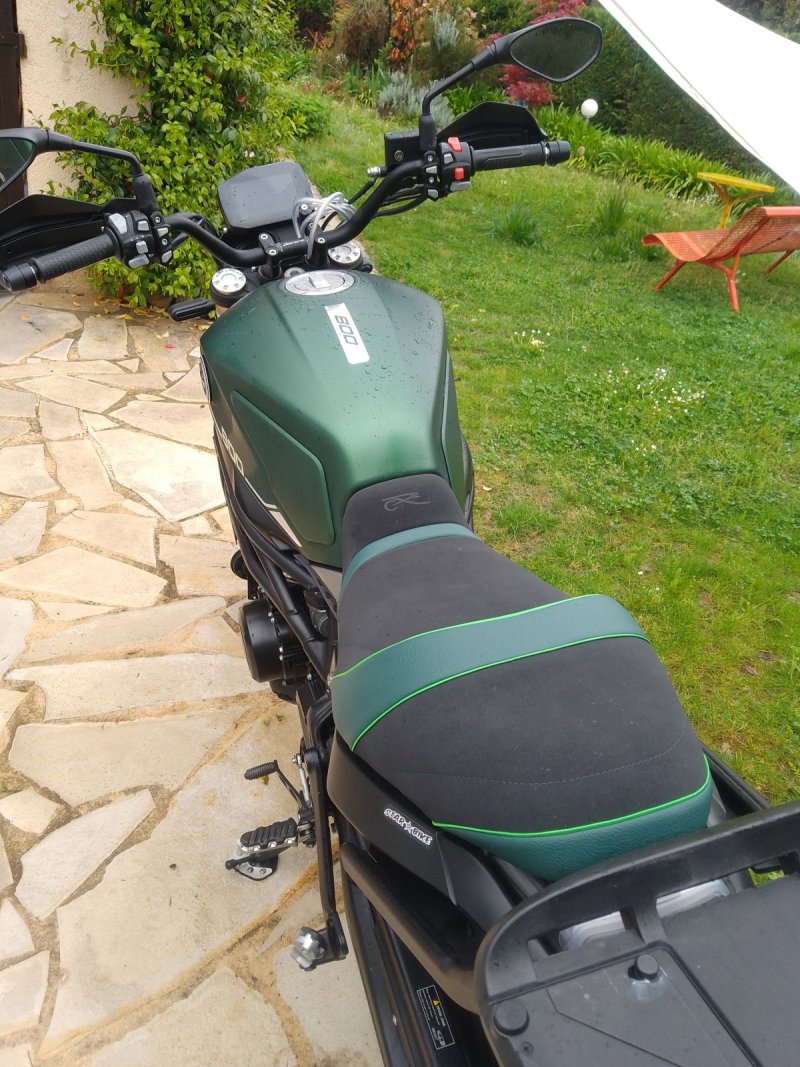 BENELLI LEONCINO 800