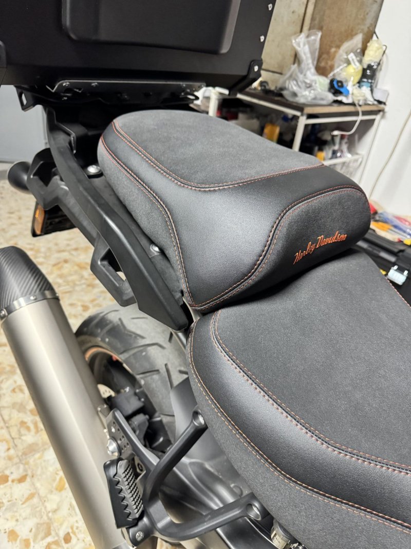 HARLEY DAVIDSON PAN AMERICA 1250