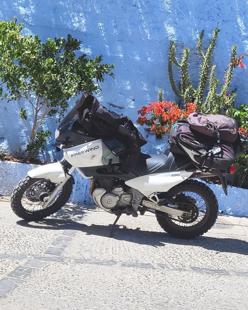 SUZUKI FREEWIND XF 650