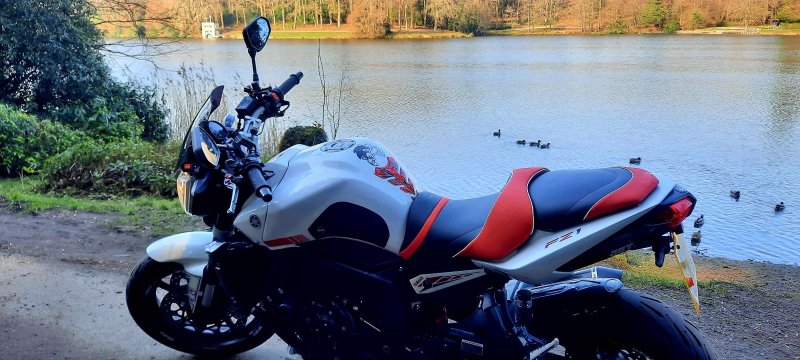 YAMAHA FZ1-N