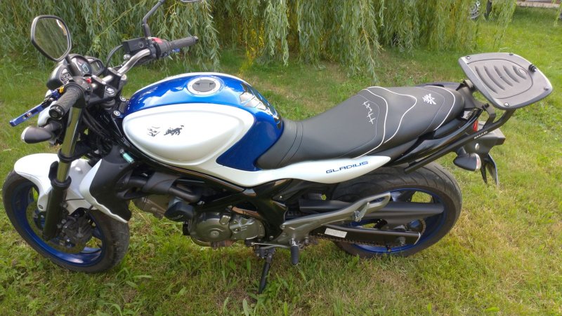 SUZUKI GLADIUS