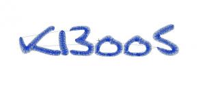 BRO4916
