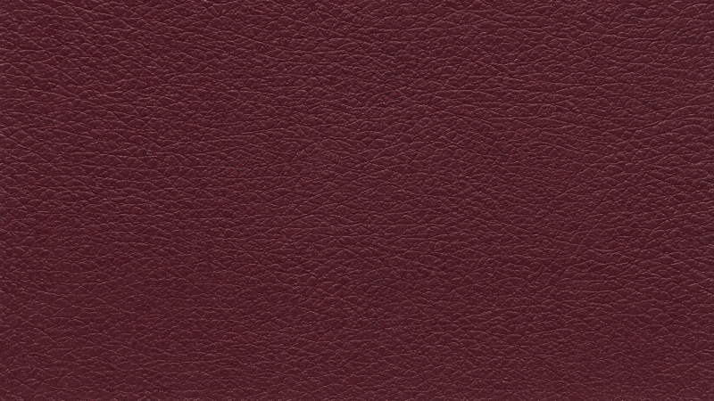 COM081