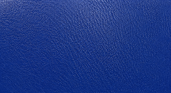 SEL017