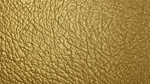 SEL027
