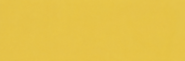 SEL029