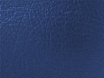 COM079 Blue