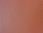 SEL088 Orange color