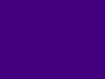 violeta 038