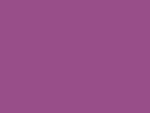 violeta 039